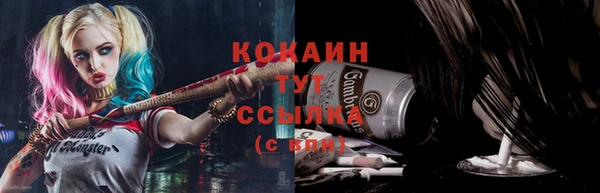 твердый Лиски