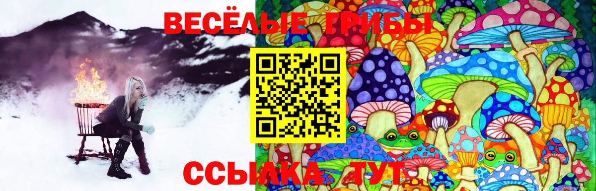 Псилоцибиновые грибы прущие грибы Сосновоборск