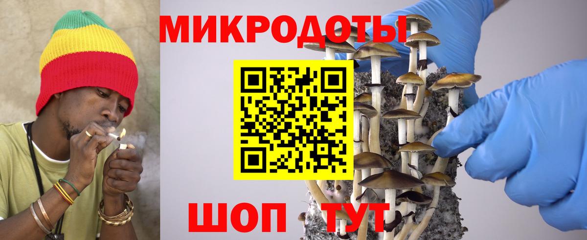 Галлюциногенные грибы Psilocybe  Галлюциногенные грибы мицелий  Сосновоборск  Вход с VPN 