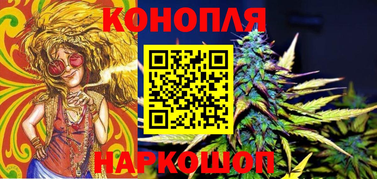 Бошки Шишки план Сосновоборск